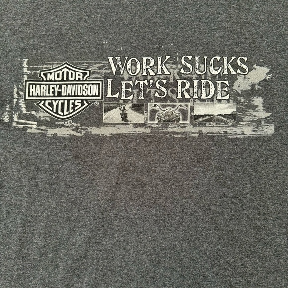 Y2k Harley Davidson work sucks! South Carolina t shirt men’s Large - Picture 2 of 7